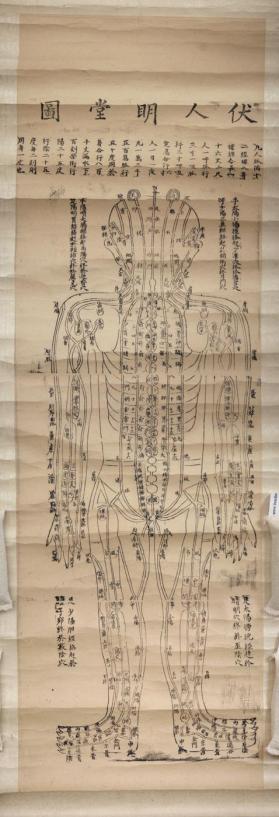 Acupuncture chart scroll